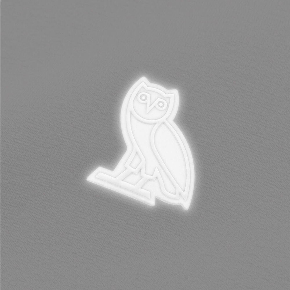 OVO HOODIE (REFLECTIVE) RARE - Picture 5 of 7